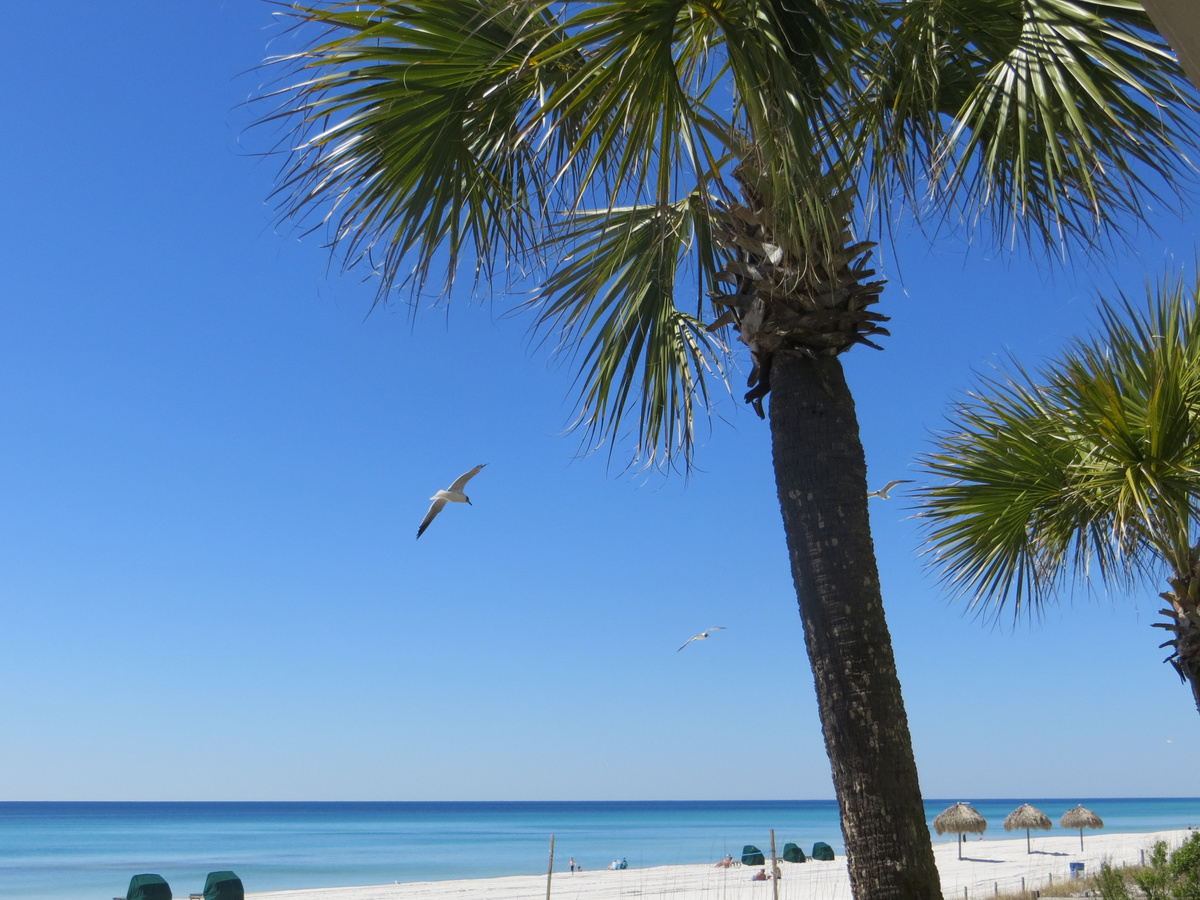 Condo View, Spring Break March 7 2015