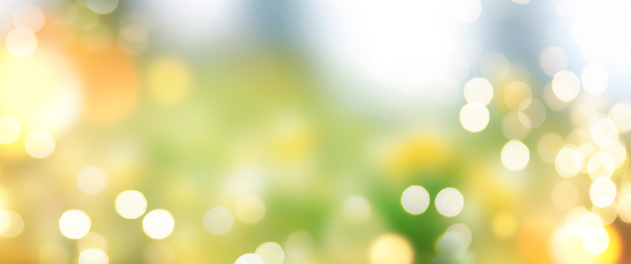 Blurred background. Spring color